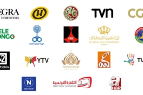 CGTN Launches Dedicated Webpage for Global South Directors Co-Production Program 2026
